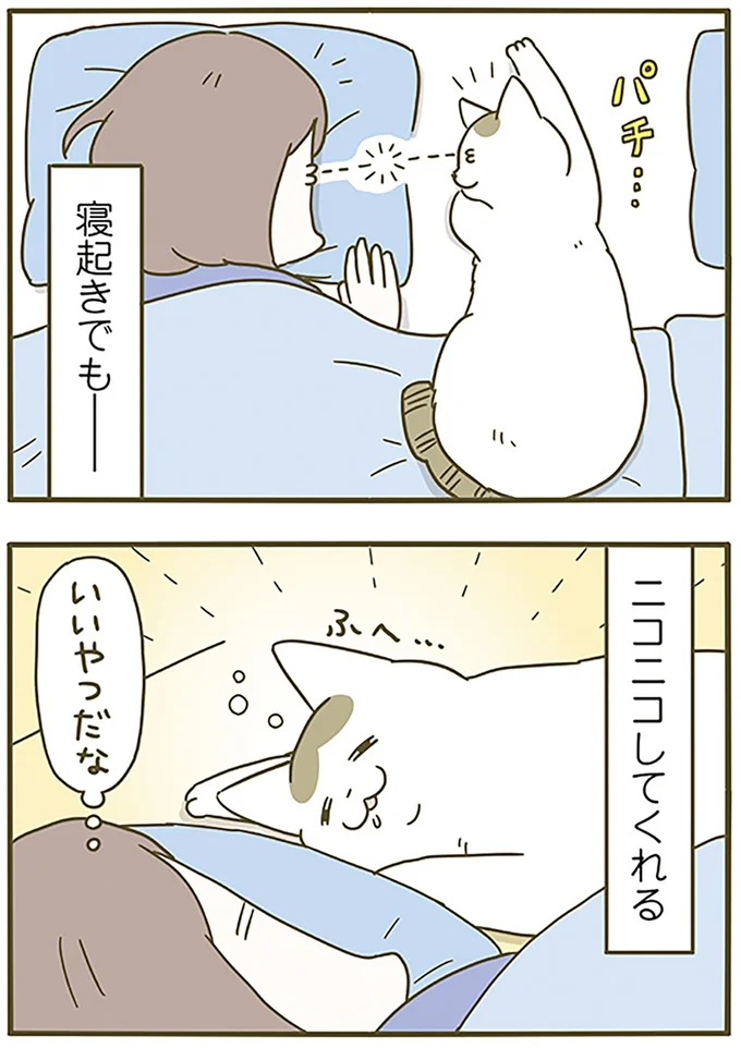 『うちの猫がまた変なことしてる。6』より