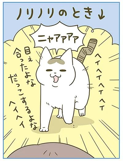 『うちの猫がまた変なことしてる。6』より