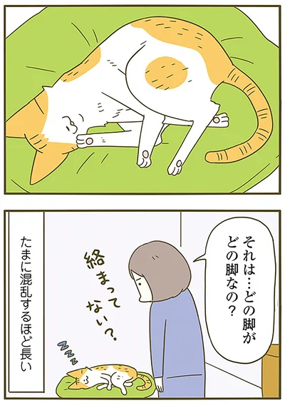 『うちの猫がまた変なことしてる。6』より