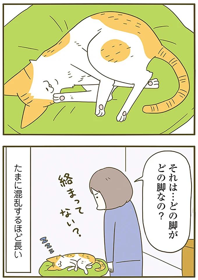 『うちの猫がまた変なことしてる。6』より