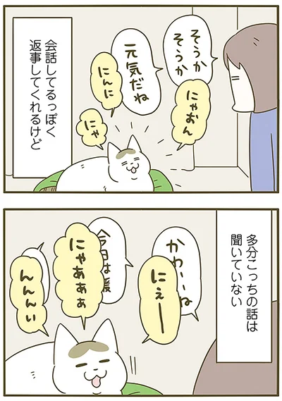 『うちの猫がまた変なことしてる。6』より