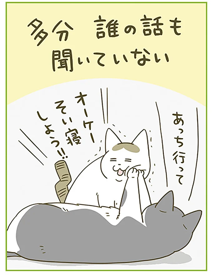 『うちの猫がまた変なことしてる。6』より