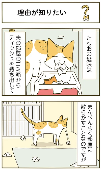 『うちの猫がまた変なことしてる。6』より