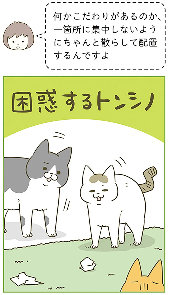 『うちの猫がまた変なことしてる。6』より