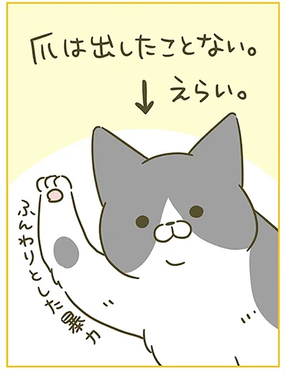 『うちの猫がまた変なことしてる。6』より