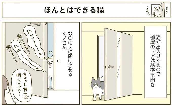 『うちの猫がまた変なことしてる。6』より