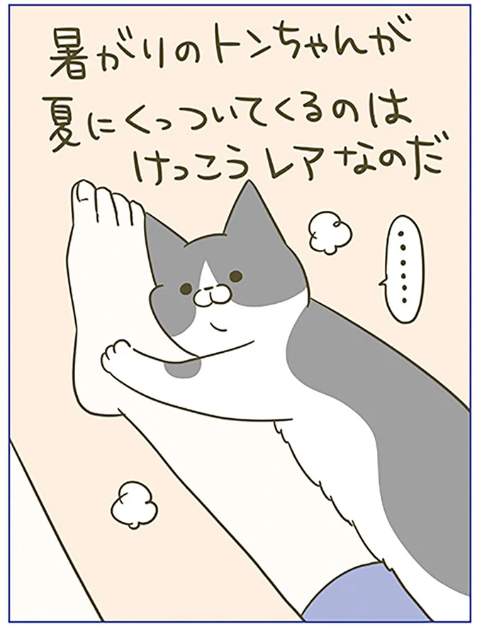 『うちの猫がまた変なことしてる。6』より