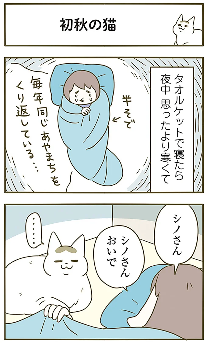 『うちの猫がまた変なことしてる。6』より