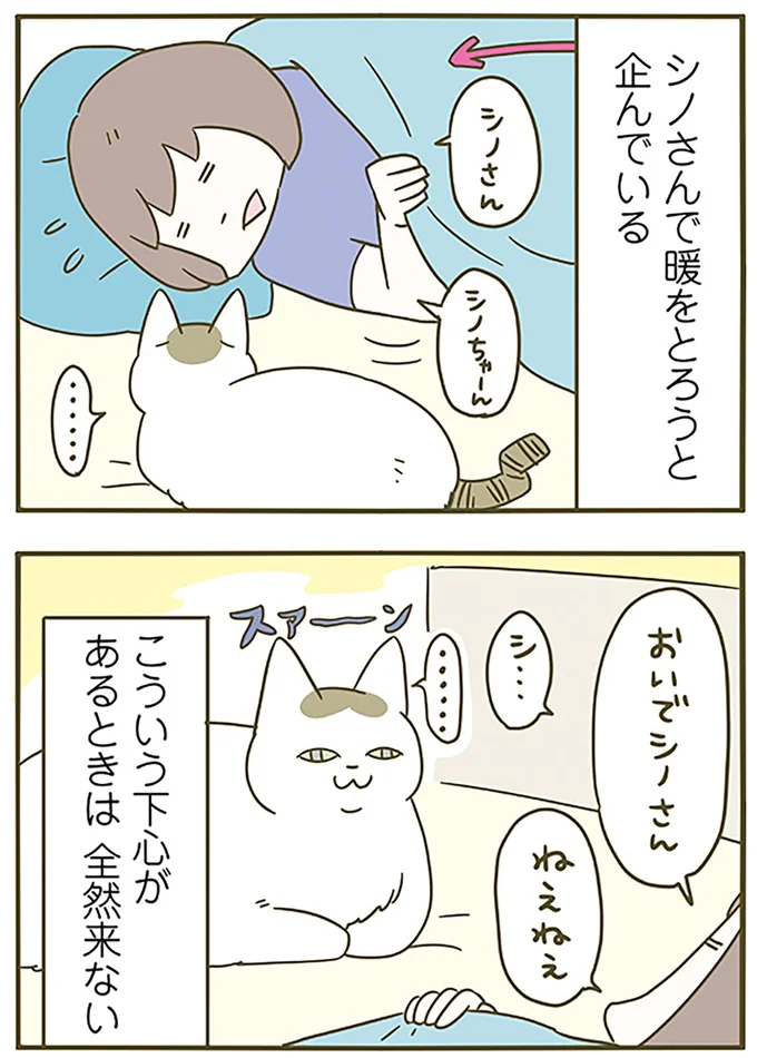 『うちの猫がまた変なことしてる。6』より