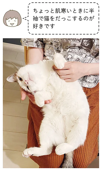 『うちの猫がまた変なことしてる。6』より
