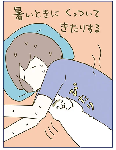 『うちの猫がまた変なことしてる。6』より