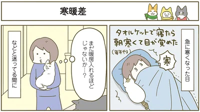  『うちの猫がまた変なことしてる。6』より