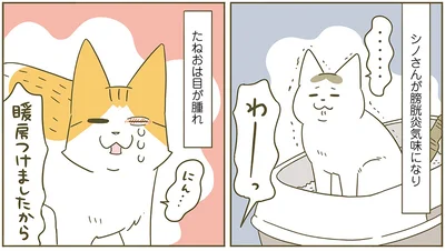  『うちの猫がまた変なことしてる。6』より