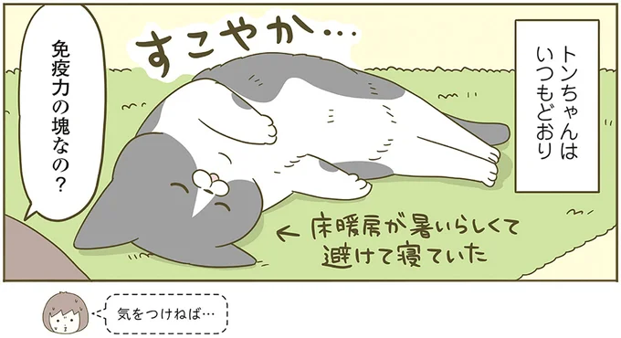 『うちの猫がまた変なことしてる。6』より