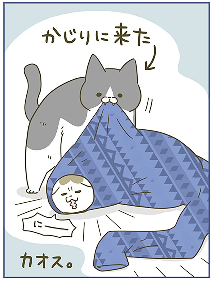 『うちの猫がまた変なことしてる。6』より