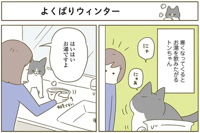  『うちの猫がまた変なことしてる。6』より