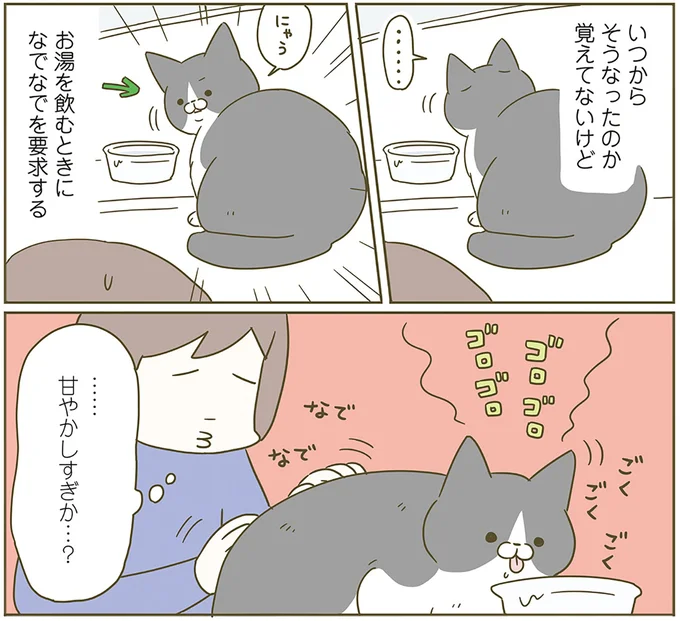 『うちの猫がまた変なことしてる。6』より