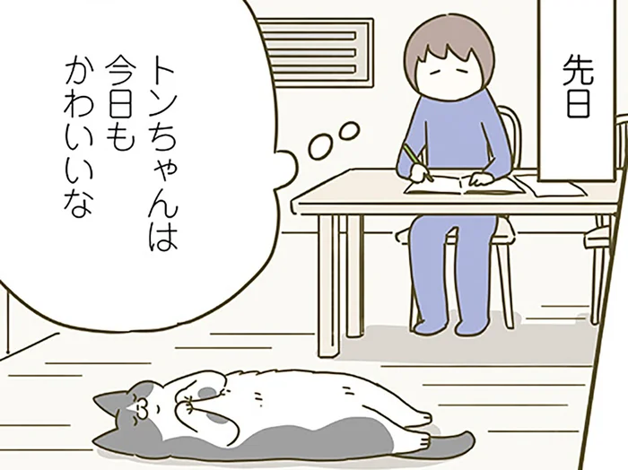 「今日もかわいいな」猫に思う飼い主。喜ぶ姿を見て、提唱する「ある説」