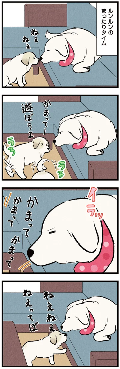 『今日のルンルン 超大型犬は愛もでかい』より