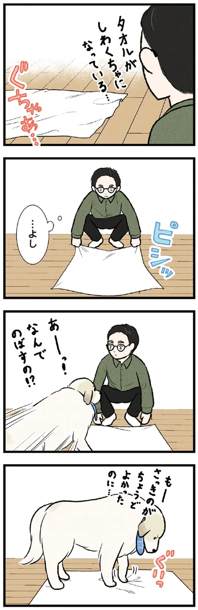 『今日のルンルン 超大型犬は愛もでかい』より