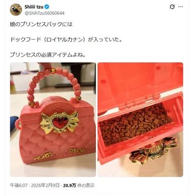 話題となったプリンセスのバッグのポスト▶6匹の愛犬と暮らす投稿者さん（⇒次へ）