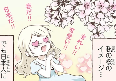 私の桜のイメージと日本人のイメージ