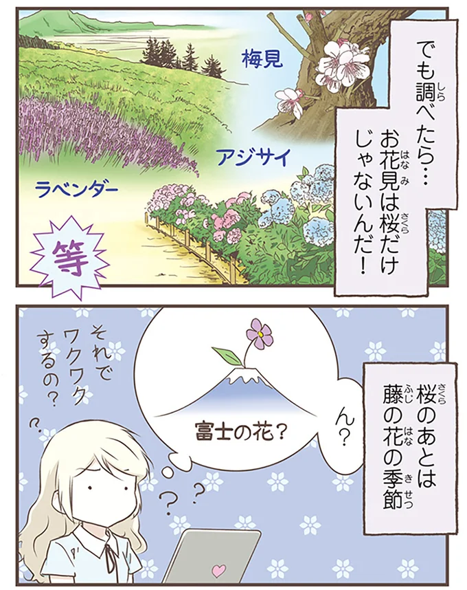 桜のあとは藤の花の季節