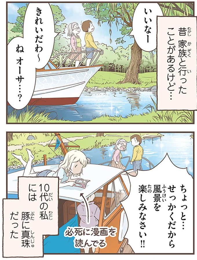 10代の私には豚に真珠だった