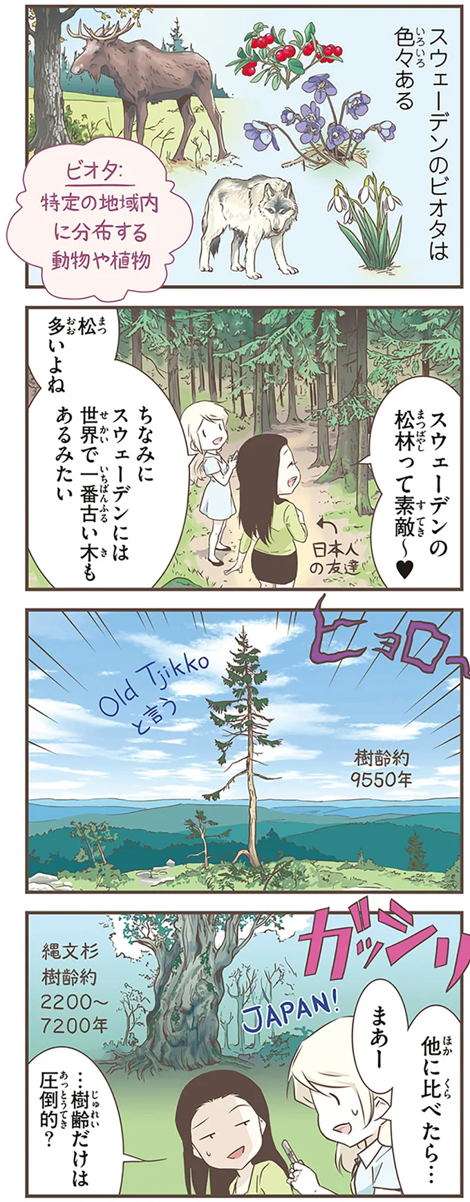 世界で一番古い木もあるみたい