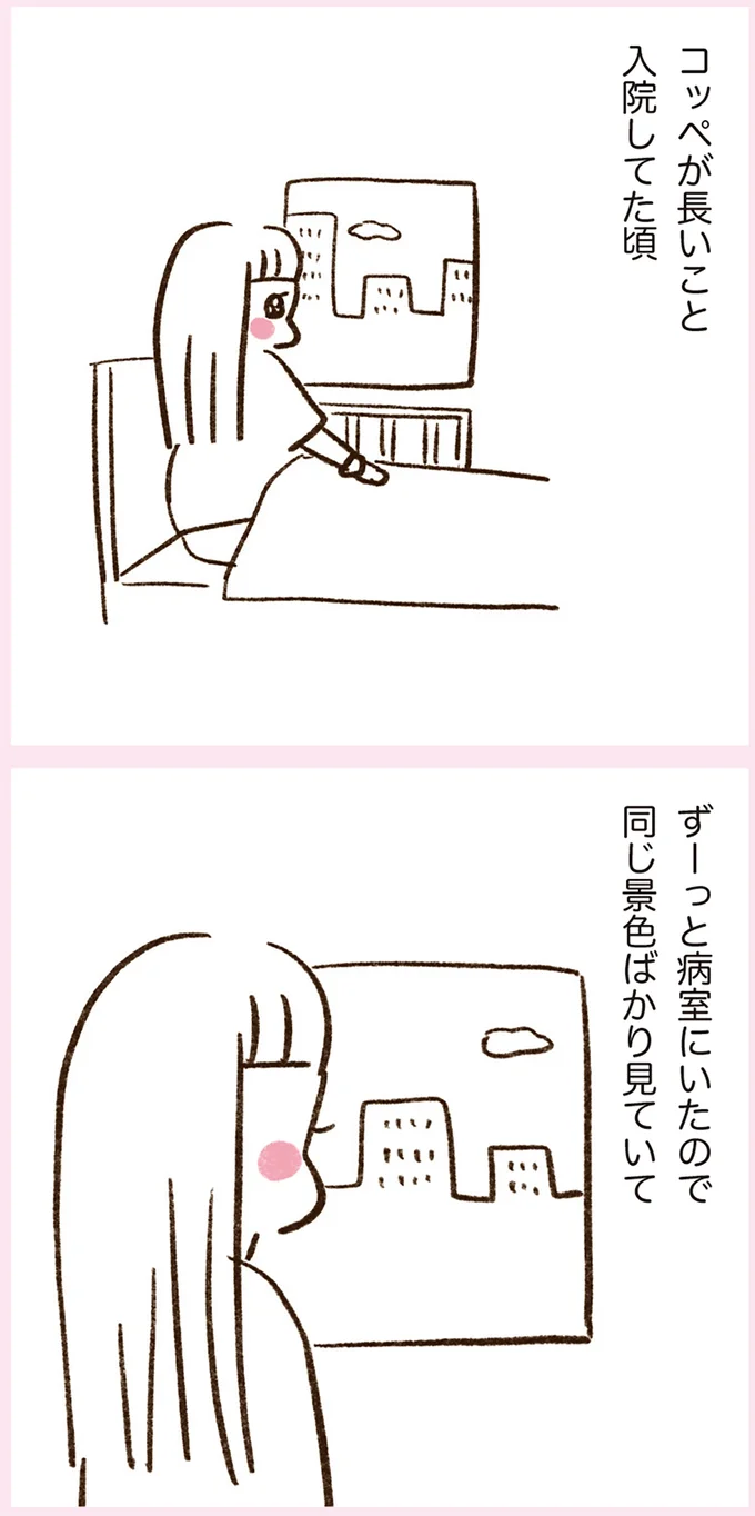 コッペが長いこと入院してた頃