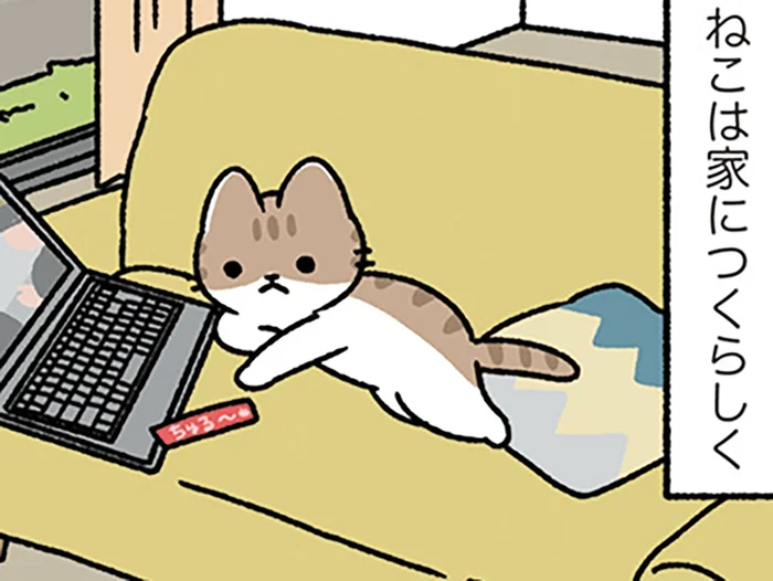 【犬は人につき、ねこは家につく】本能の違い!? でも、猫だって待っていてくれる
