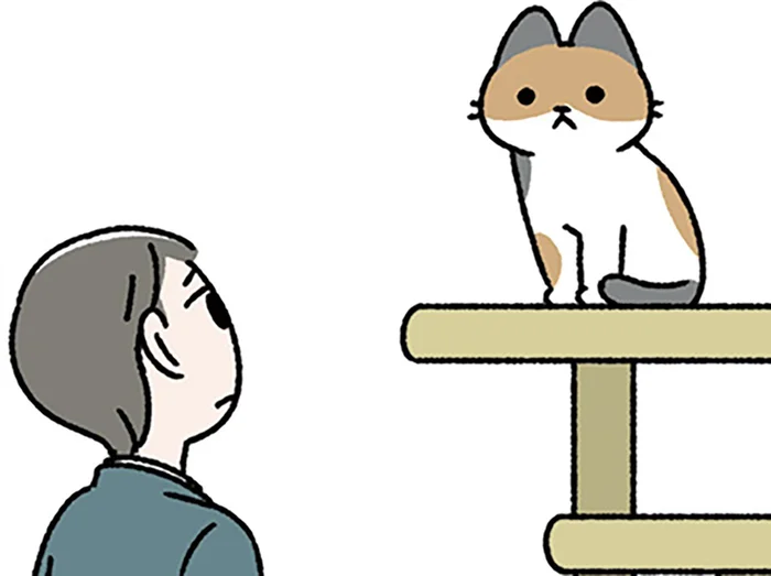 【ねこは三年の恩を三日で忘れる】もう忘れたの？ 数日家を空けたら不機嫌なねこの言い分