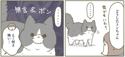 何よ怖い…