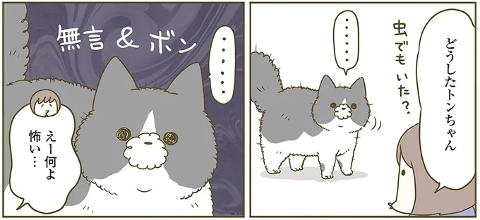 何よ怖い…