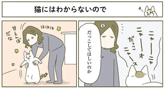 猫にはわからないので