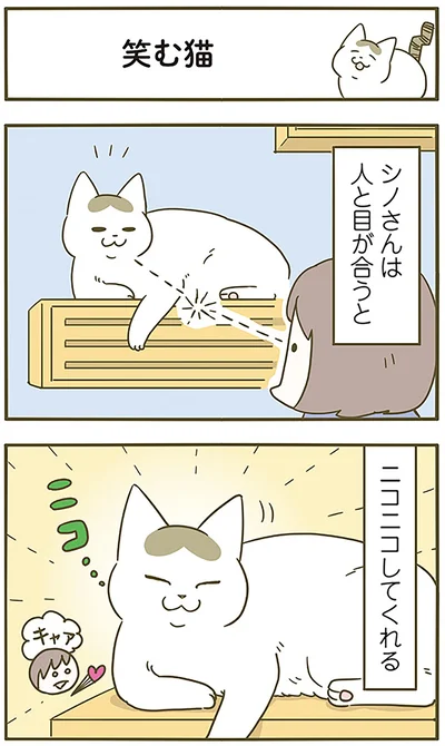 笑む猫