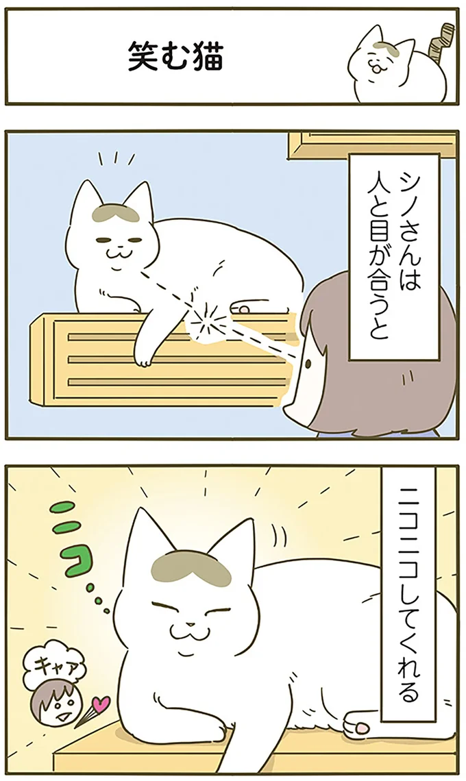 笑む猫
