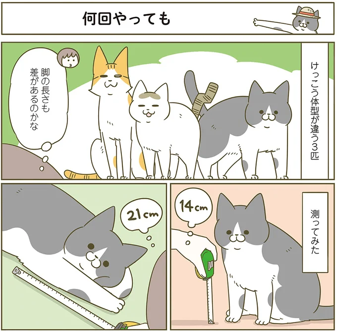 何回やっても