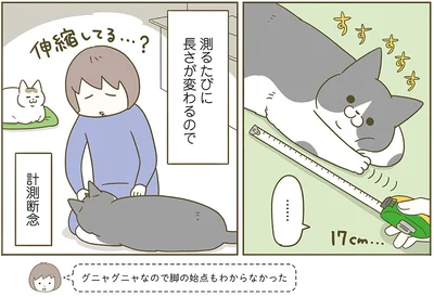 測るたびに