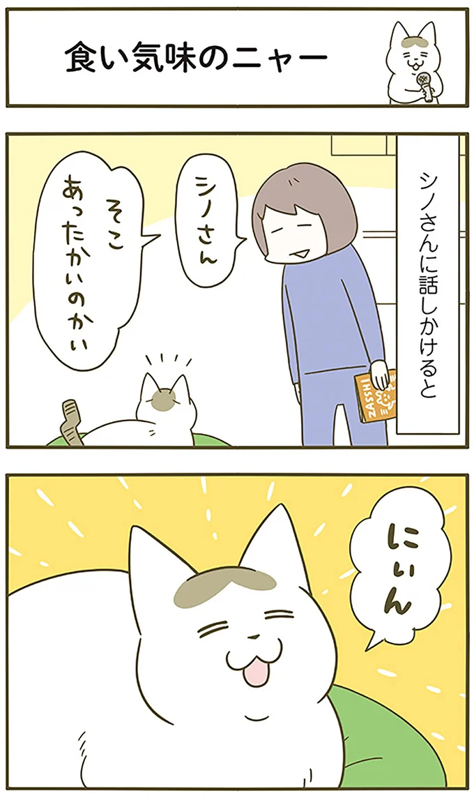 食い気味のニャー