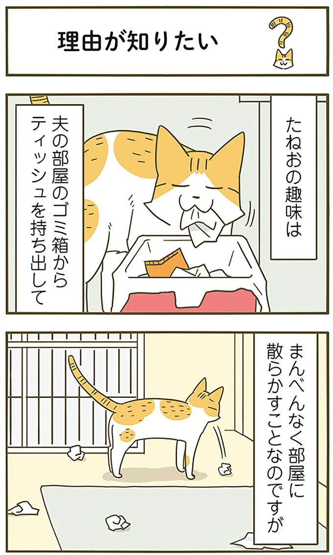 理由が知りたい