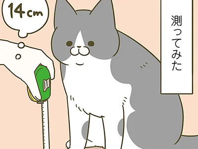 測ってみるも