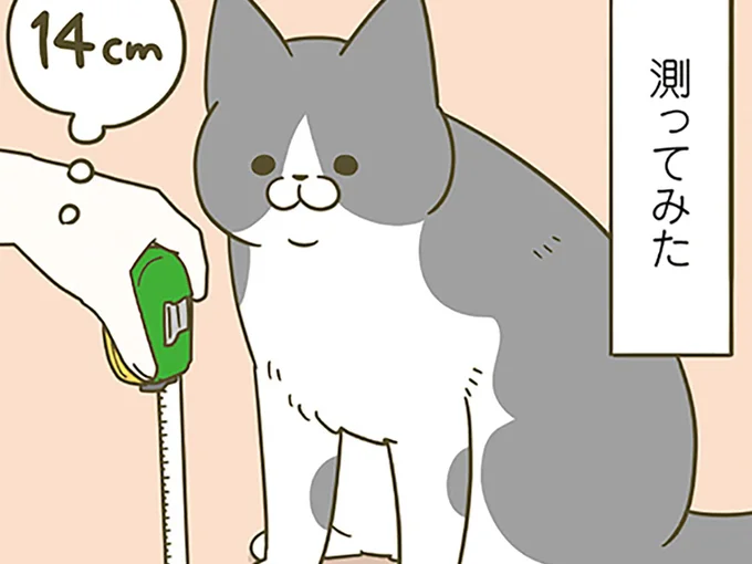 測ってみるも