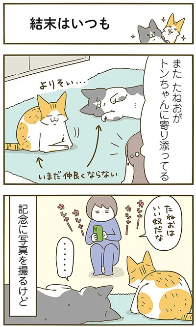 結末はいつも