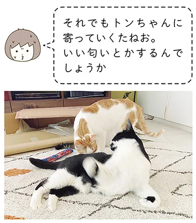いい匂いとかするんでしょうか