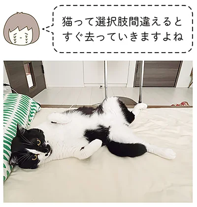 選択肢間違えると…