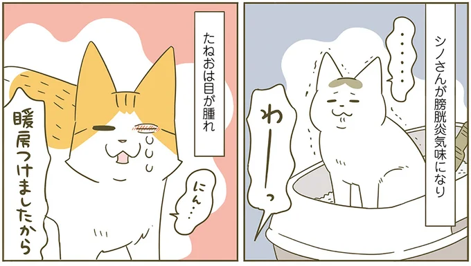 暖房つけましたから!