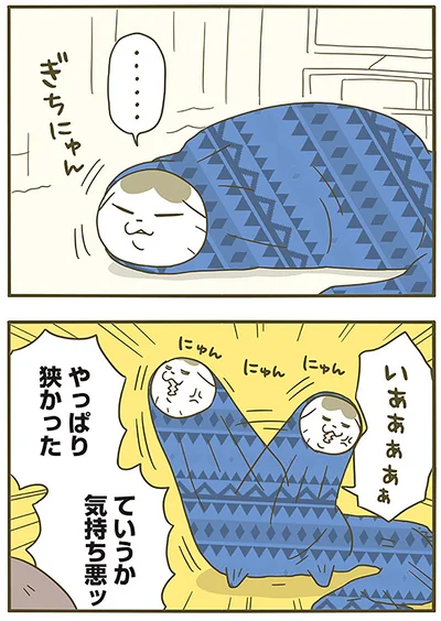 やっぱり狭かった