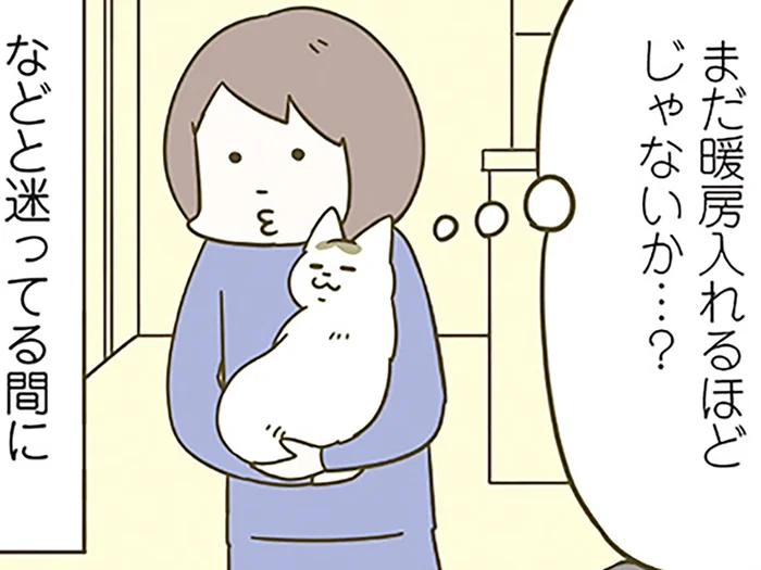 反省!! 季節の変わり目、暖房を入れるか迷った日の猫たちの変化