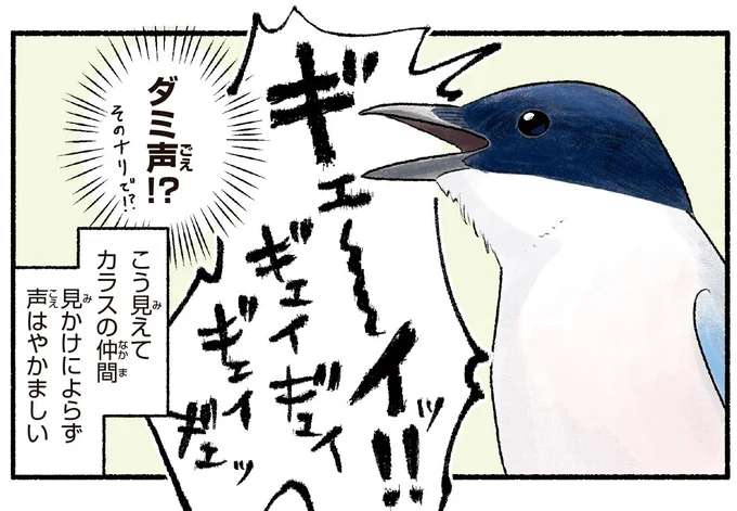 ダミ声!?